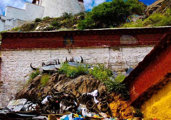 10 Days Shalu to Nartang Trek